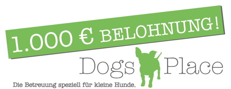 dogs place belohnung 1