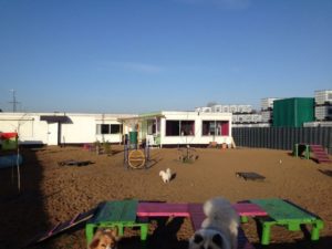 grosser hundespielplatz bei dogs place