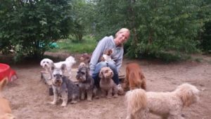 hundebetreuerin von dogs place im freien umringt von vielen hunden